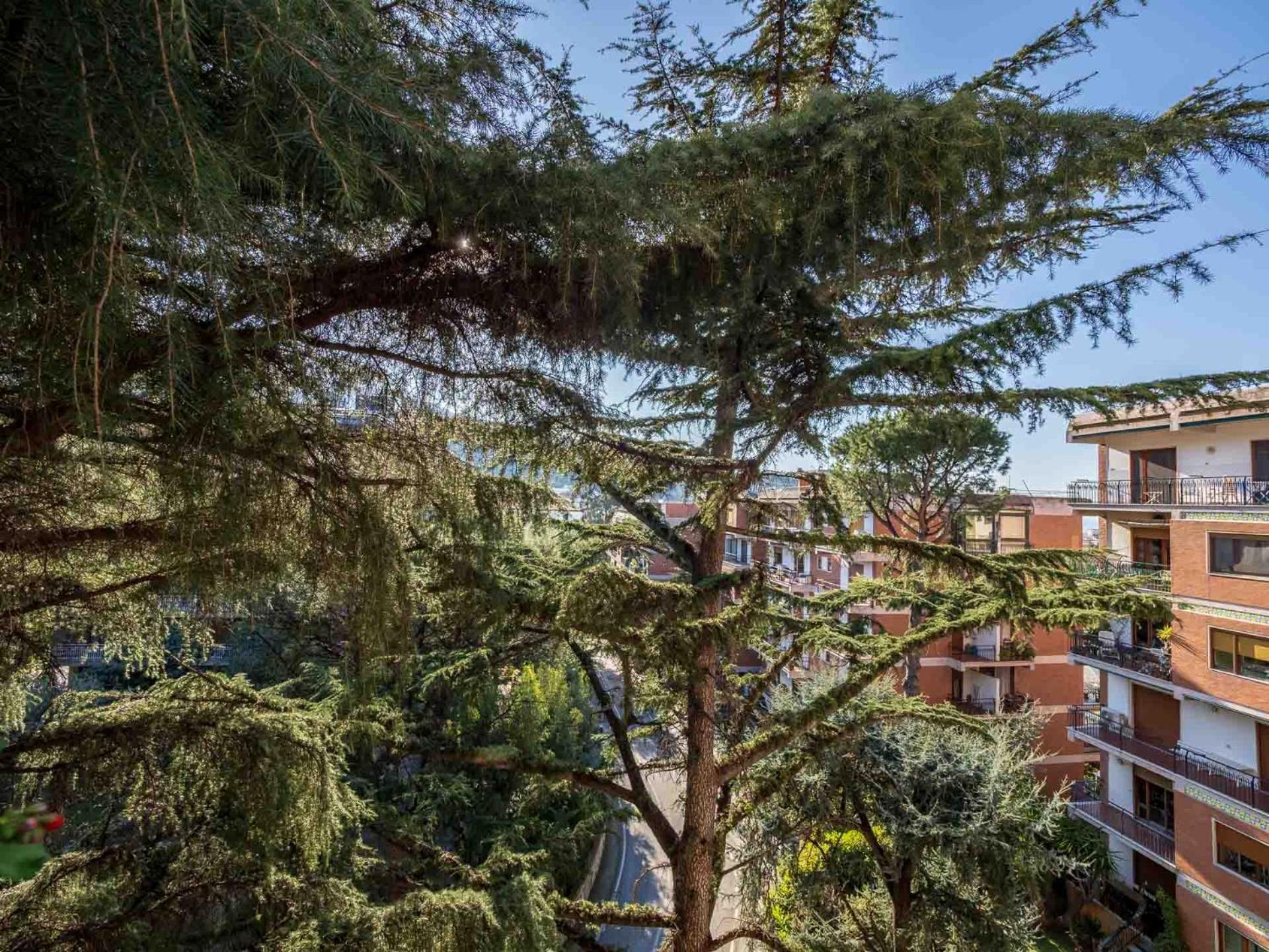 Apartament Pine House Półwysep Sorrentyński Zewnętrze zdjęcie
